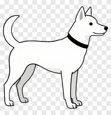 White Dog With Black Collar PNG