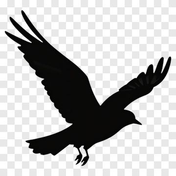 Black Bird Silhouette PNG