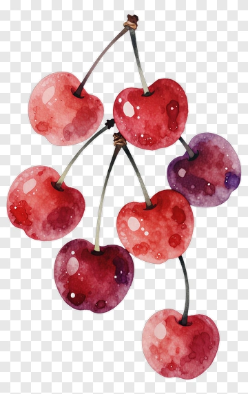 Watercolor Cherry Cluster PNG