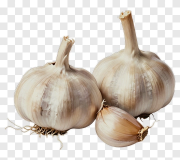 Garlic PNG