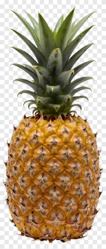 Ripe Pineapple PNG