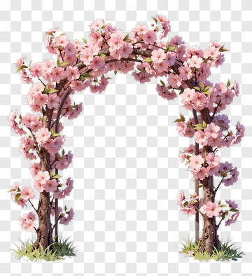 Cherry Blossom Arch In Full Bloom PNG