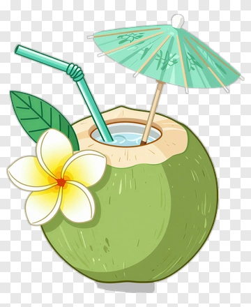 Coconut With Plumeria Flower And Straw PNG