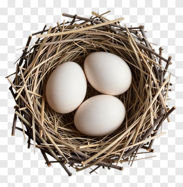 Bird Nest With Three Eggs PNG