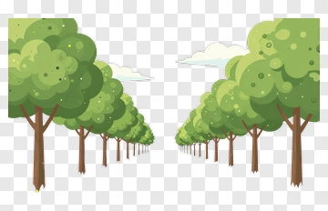 Tree-lined Road PNG