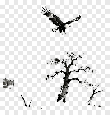 Eagle Soaring Over Winter Landscape PNG