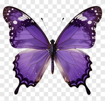 Purple Butterfly With Starry Wings PNG
