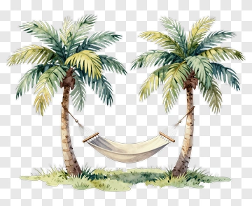 Hammock Between Two Palm Trees PNG