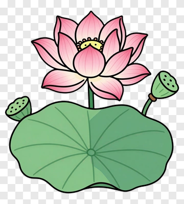 Pink Lotus Flower With Green Leaf PNG