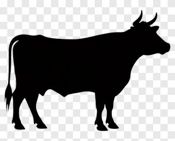Black Cow Silhouette PNG