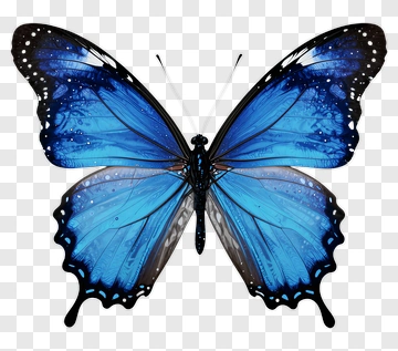 Blue Butterfly PNG