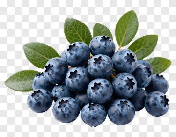 Fresh Blueberry With Leaf PNG