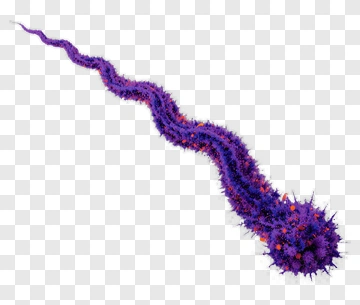 Sperm Cell In Purple And Red PNG