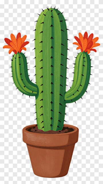 Cactus With Orange Flowers In Pot PNG