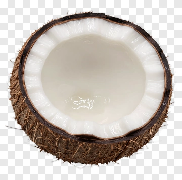 Fresh Coconut Half PNG