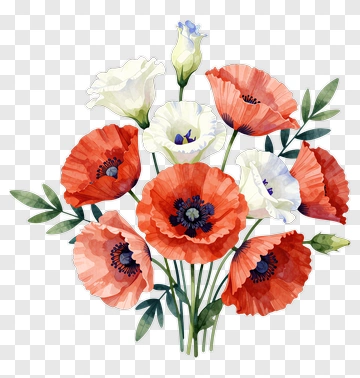 Watercolor Poppies And Lilium Bouquet PNG