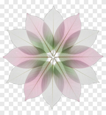 Symmetrical Leaf Pattern PNG