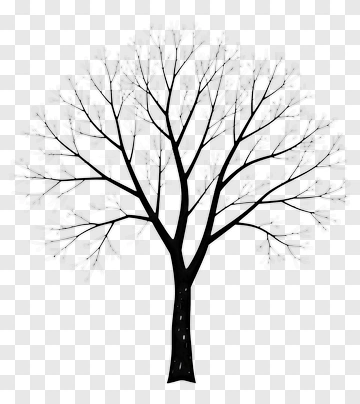 Black Tree Outline PNG