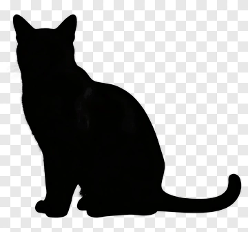 Black Cat Silhouette PNG