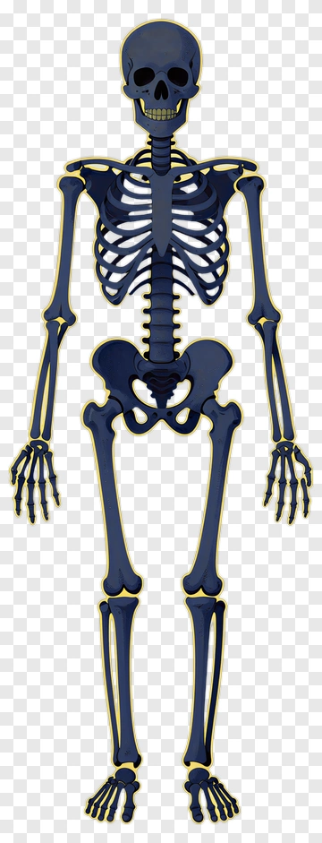 Blue Skeleton With Yellow Outline PNG