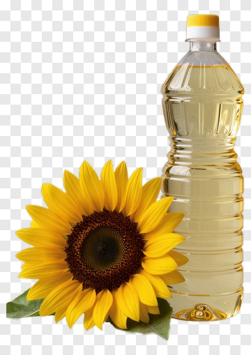 Sunflower And Sunflower Oil Bottle PNG