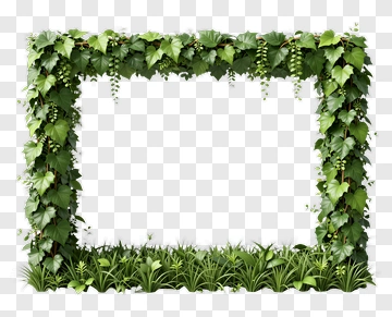 Green Ivy Frame Border PNG