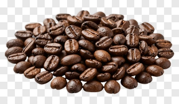 Coffee Bean PNG