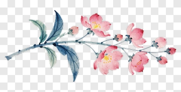 Cherry Blossom Branch With Pink Flowers PNG