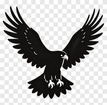 Black Eagle Silhouette PNG