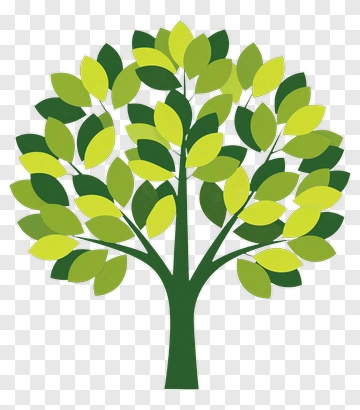 Green Tree With Yellow Leaves PNG