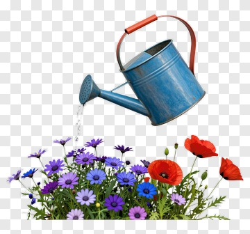 Blue Watering Can Watering Colorful Flowers PNG