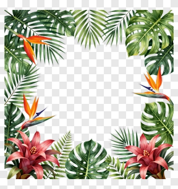 Tropical Plant Border With Bird Of Paradise PNG