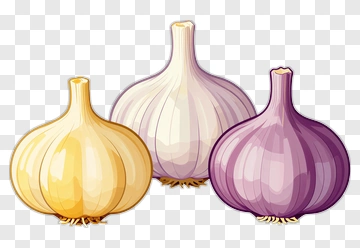 Three Garlic Heads PNG