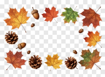 Autumn Leaves Acorns And Pinecones PNG