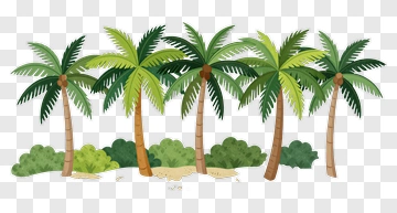 Row Of Palm Trees On Beach PNG