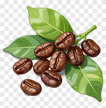 Coffee Beans With Green Leaves PNG