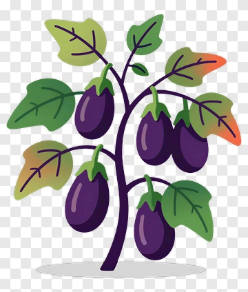 Cartoon Eggplant Plant PNG