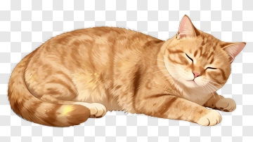 Cute Sleeping Cat PNG