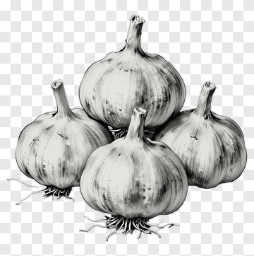 Garlic PNG