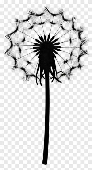 Dandelion PNG