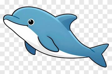 Cute Cartoon Dolphin PNG