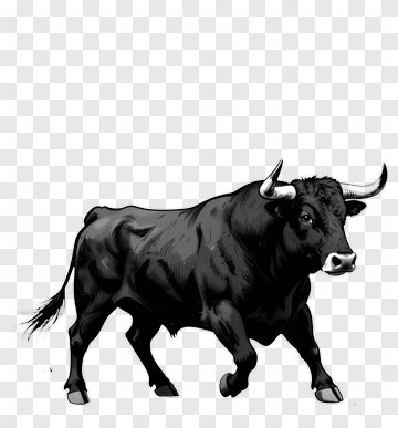 Bull PNG