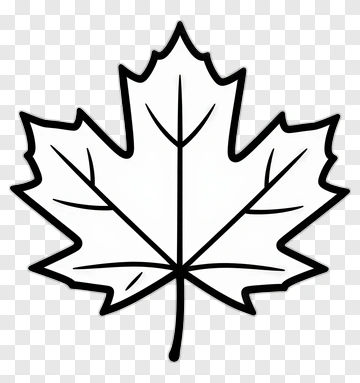 Maple Leaf Outline PNG