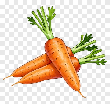 Fresh Carrot Illustration PNG