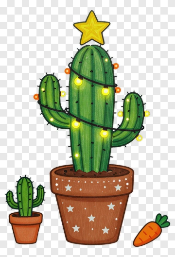 Cactus With Star And Lights PNG