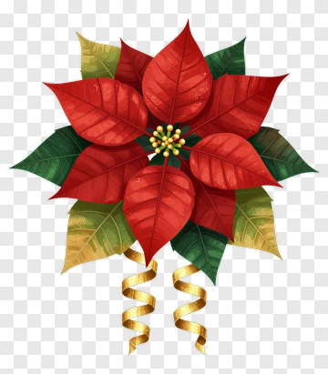 Poinsettia With Gold Ribbon PNG