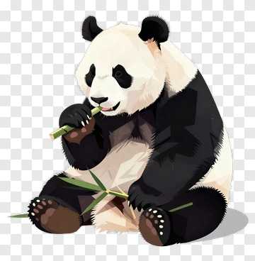 Panda Eating Bamboo PNG
