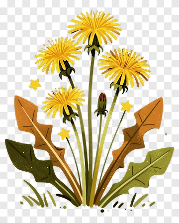 Dandelion Flower With Leaves And Stars PNG