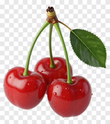 Three Cherries With Leaf PNG