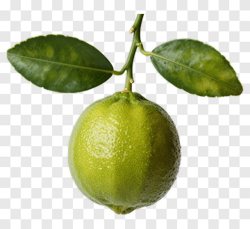 Fresh Lime With Leaves PNG